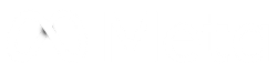 Partner 1